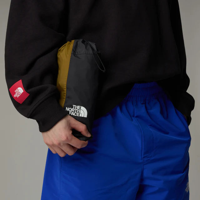 The North Face MEN'S SEASONAL MOUNTAIN JACKET